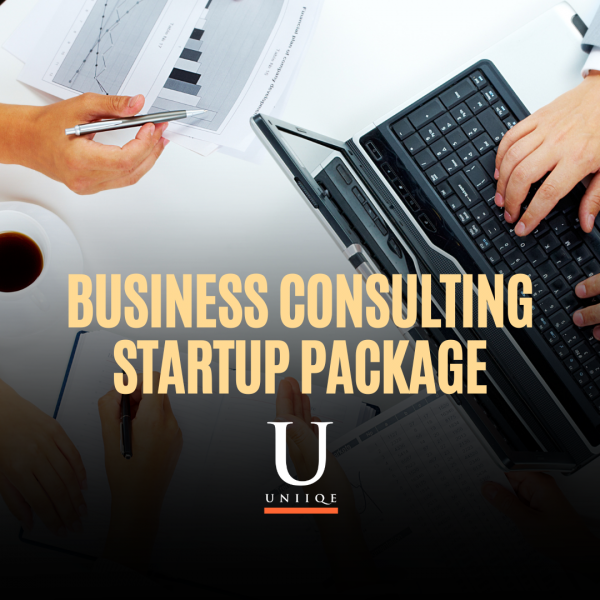 Business Consulting Startup Package
